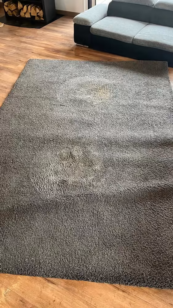 Grand tapis gris · auréoles avant nettoyage
