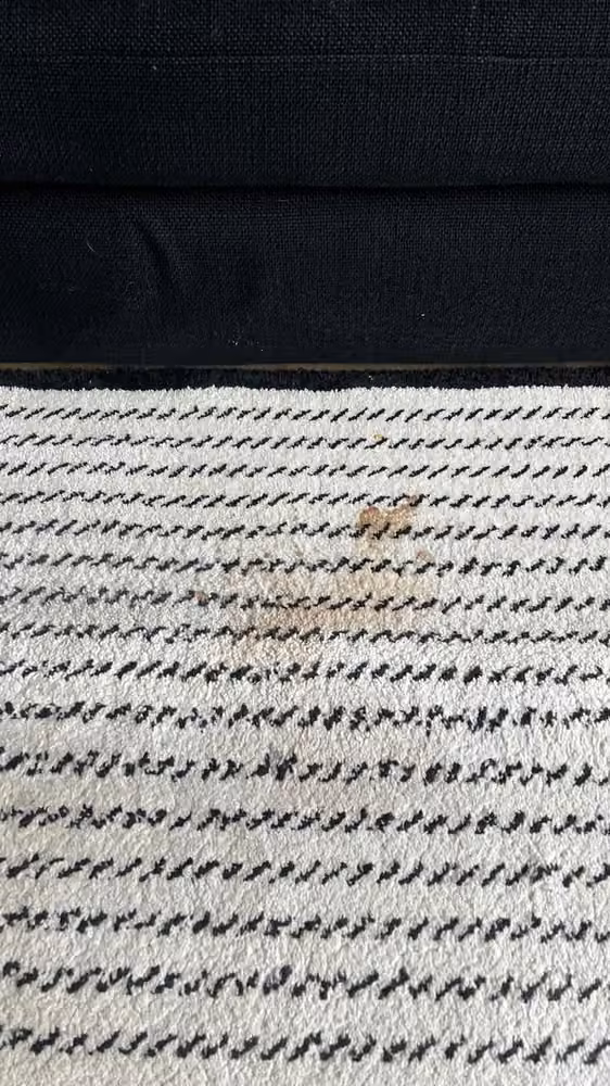 Tapis clair rayé · tache localisée avant nettoyage