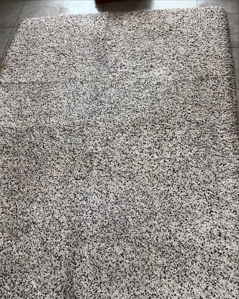 Tapis chiné à poils longs après nettoyage