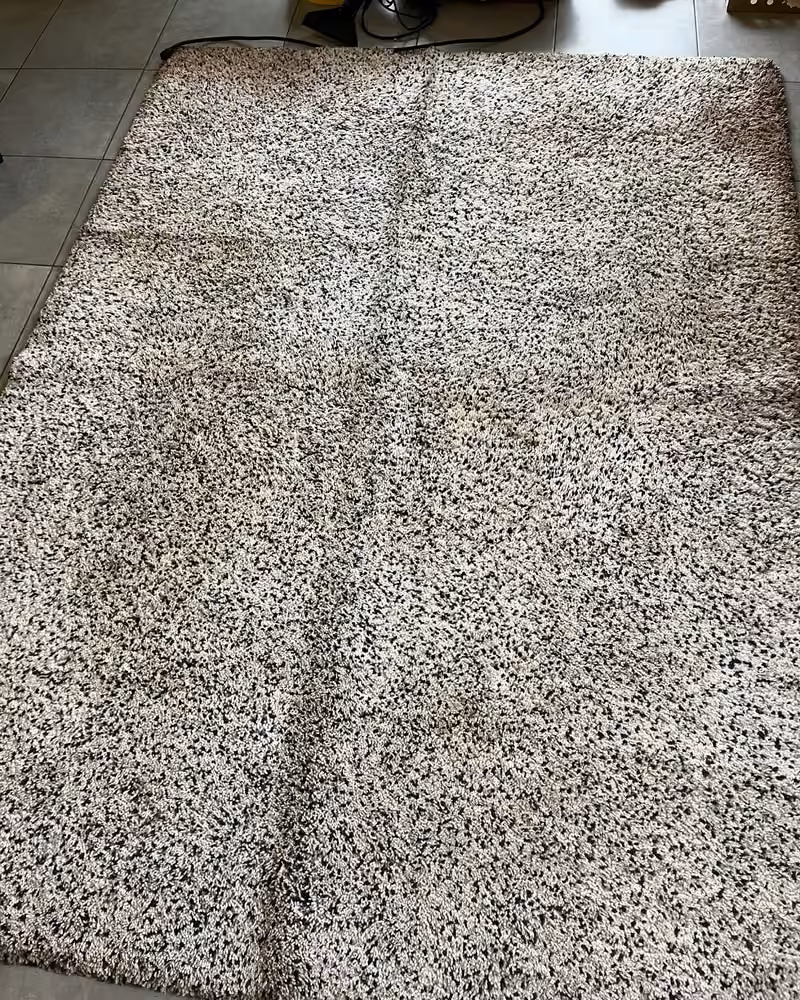 Tapis chiné à poils longs avant nettoyage
