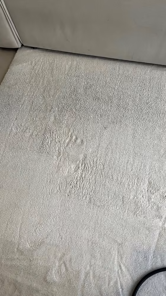 Tapis clair · traces d’usage après nettoyage