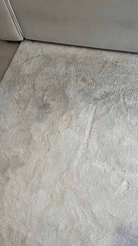 Tapis clair · traces d’usage avant nettoyage